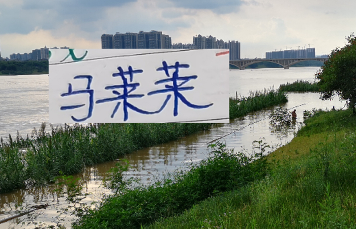 开云APP-如何防隔壁豪华版的马莱莱 是海港穆帅新赛季要应对的一个课题|上海海港|上海申花|超级杯|鲁迪·盖伊|何塞·穆里尼奥_新浪体育_新浪新闻